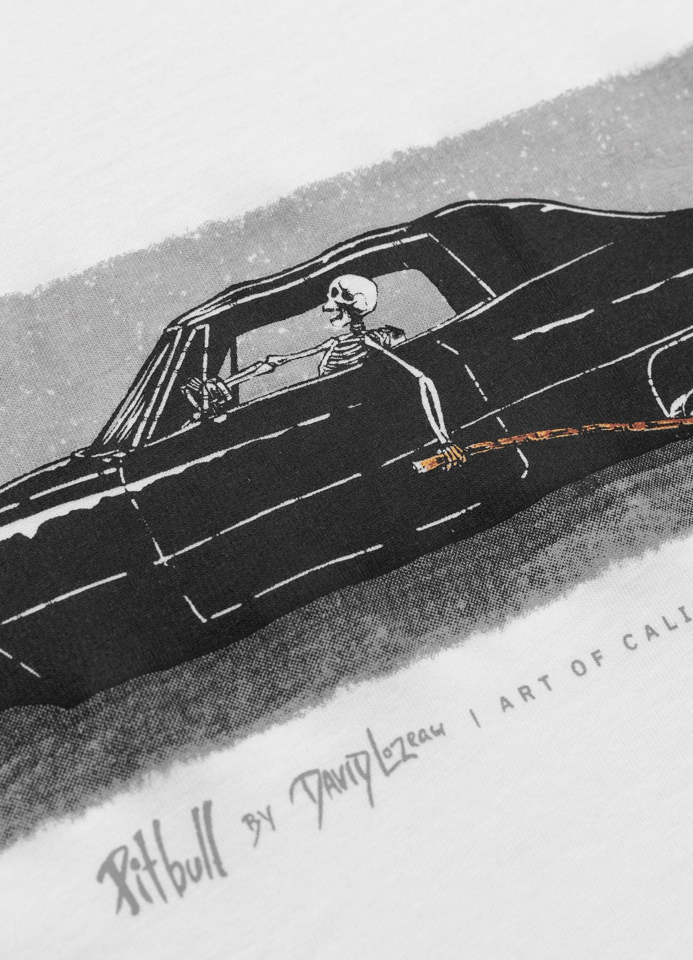 Koszulka DEVIL'S DEVILLE