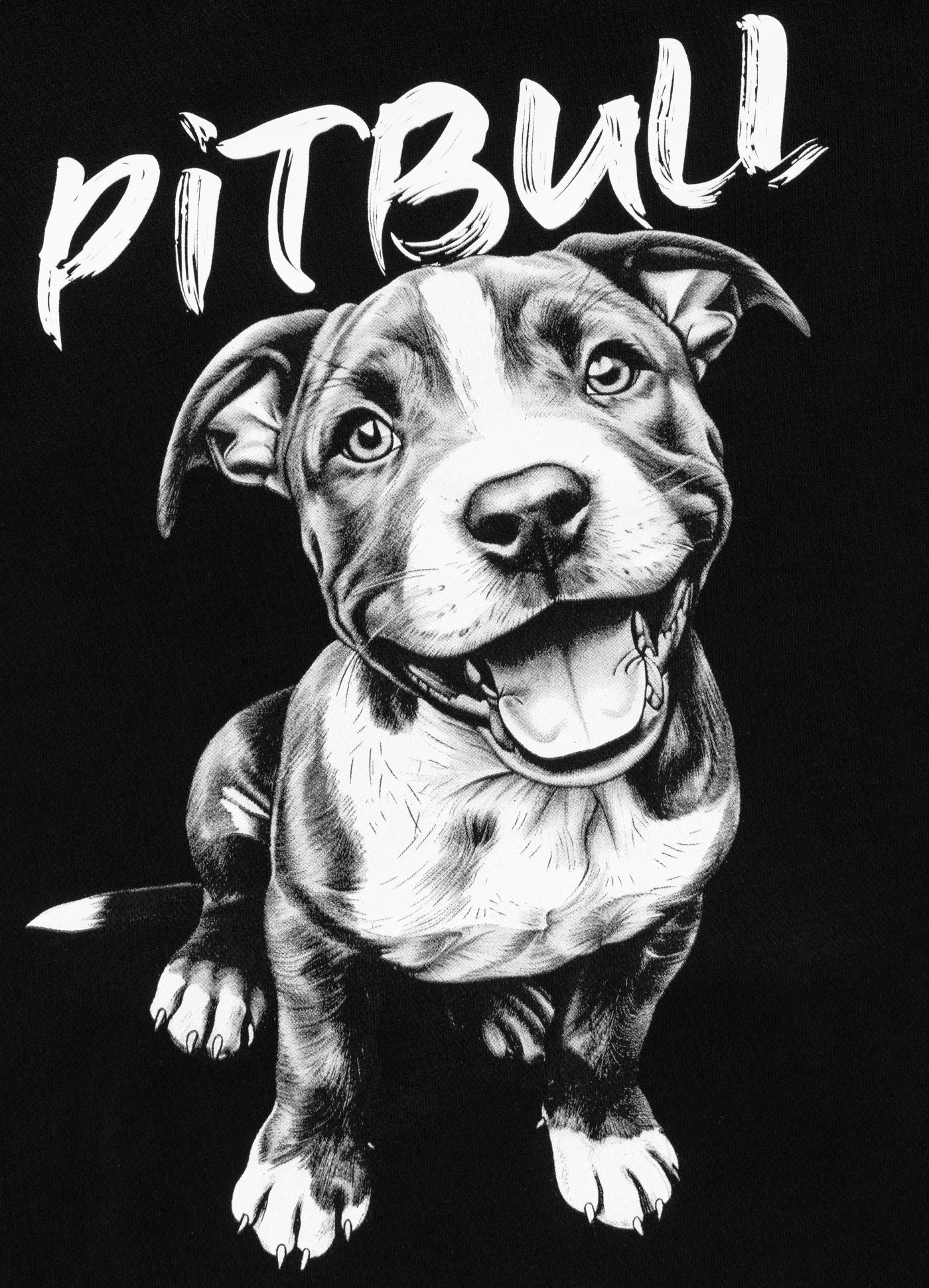 Bluza z kapturem PUPPY 2